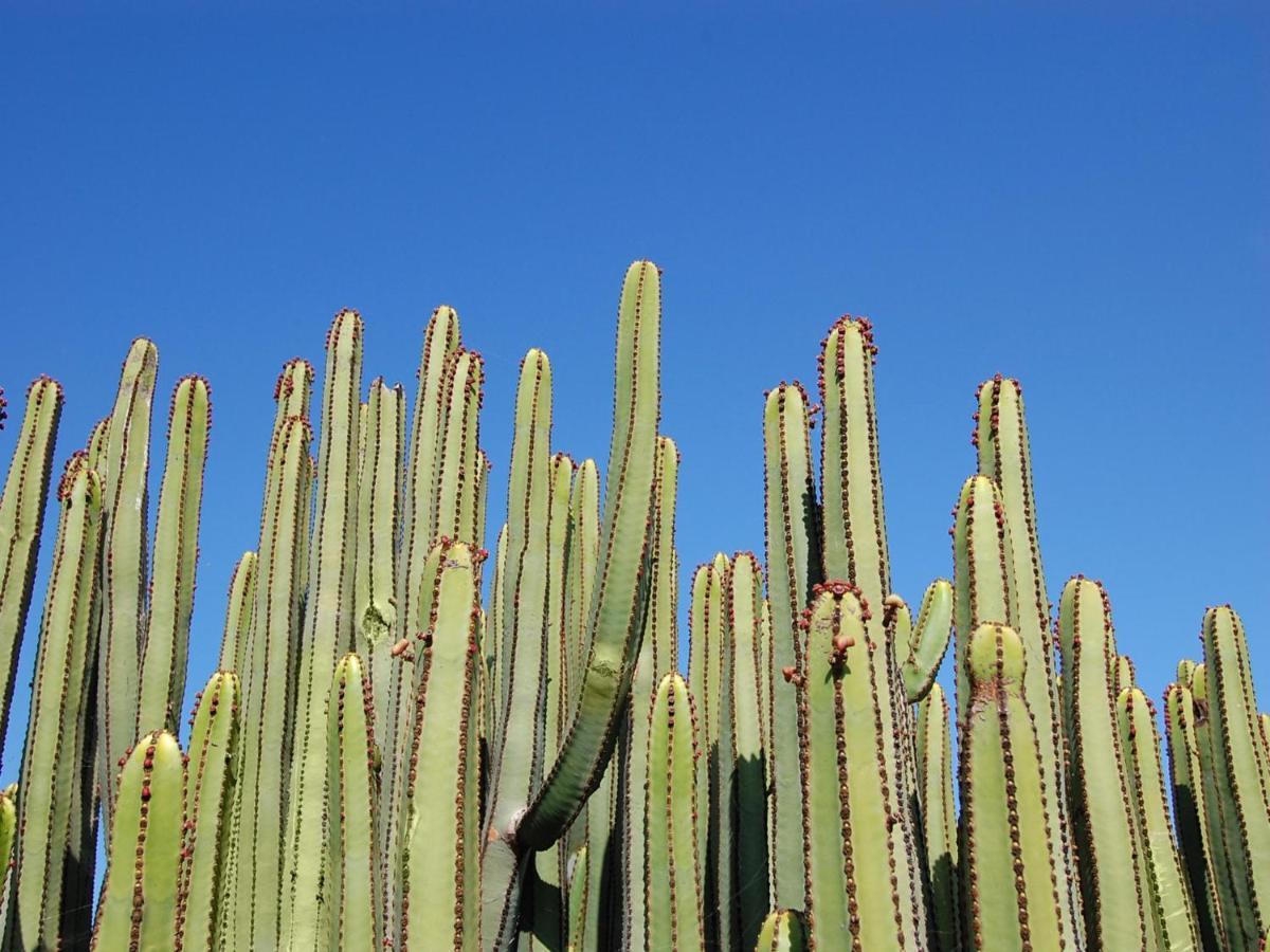 Los Dragos Salobre Golf Villas 3 By Villagrancanaria Maspalomas  Dış mekan fotoğraf